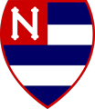 Logo AEAMESP